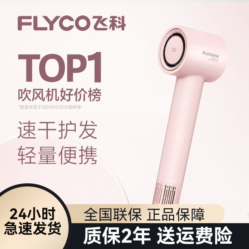 Feike High-Speed Hair Dryer Household Negative Ion Quick-Drying Hair Care Intelligent Constant Temperature Large Hair Dryer Feike's Borui