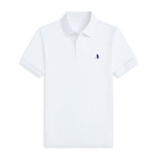 �羳���N��ʽС�R�˴̽���ʿ����POLO���ļ����s���ތ��ɷ��I��T