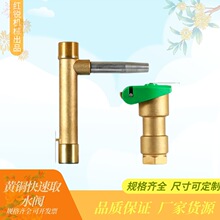 黄铜快速取水阀园林绿化取水方便 小区地面取水阀取水栓DN20 DN25