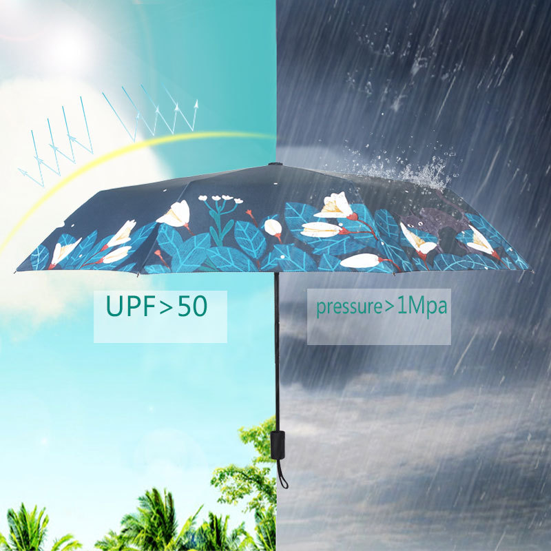 ɡ۵ɡ߼дŮֵС·̫ɡ