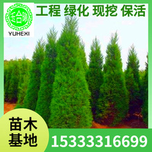 lɘ С u猚ĹɰؘļԂȰ