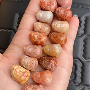 ӡ����Ȼɺ����ջ�������ʯ����������񻯎�����ͨ�������쉋