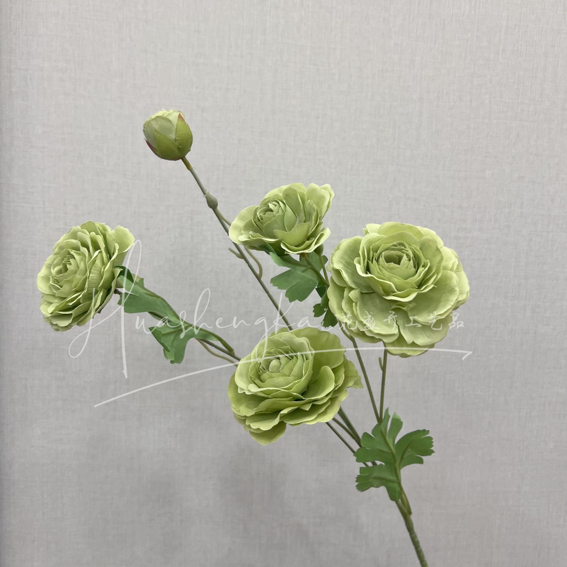녹색