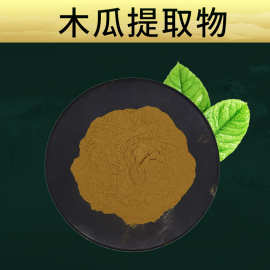 木瓜提取物  林洲生物 比例萃取 木瓜皂甙 厂家现货 木瓜粉