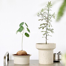 Wsմɻ谫KާڏɽС