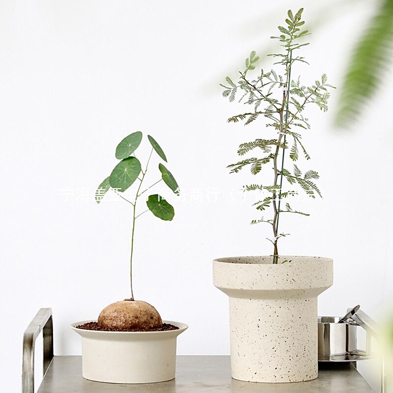 Nordic Minimalist Ceramic Flower Pot, Low Creative Design, Coarse Pottery, Terracotta, Large Diameter, Suitable for Ferns, Succulents, and Small Plants Nordic Minimalist Ceramic Flower Pot, Low Creative Design, Coarse Pottery, Terracotta, Large Diameter, Suitable for Ferns, Succulents, and Small Plants