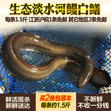 ʮ������r�������w��ˮ���~���X�����r��F����ˮ�~ˮ�a ÿ�l�s1