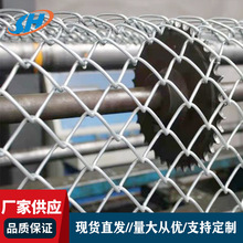 热镀锌钢丝勾花网养殖围栏网养鸡鸭菜园子栅栏镀锌勾花网菱形网
