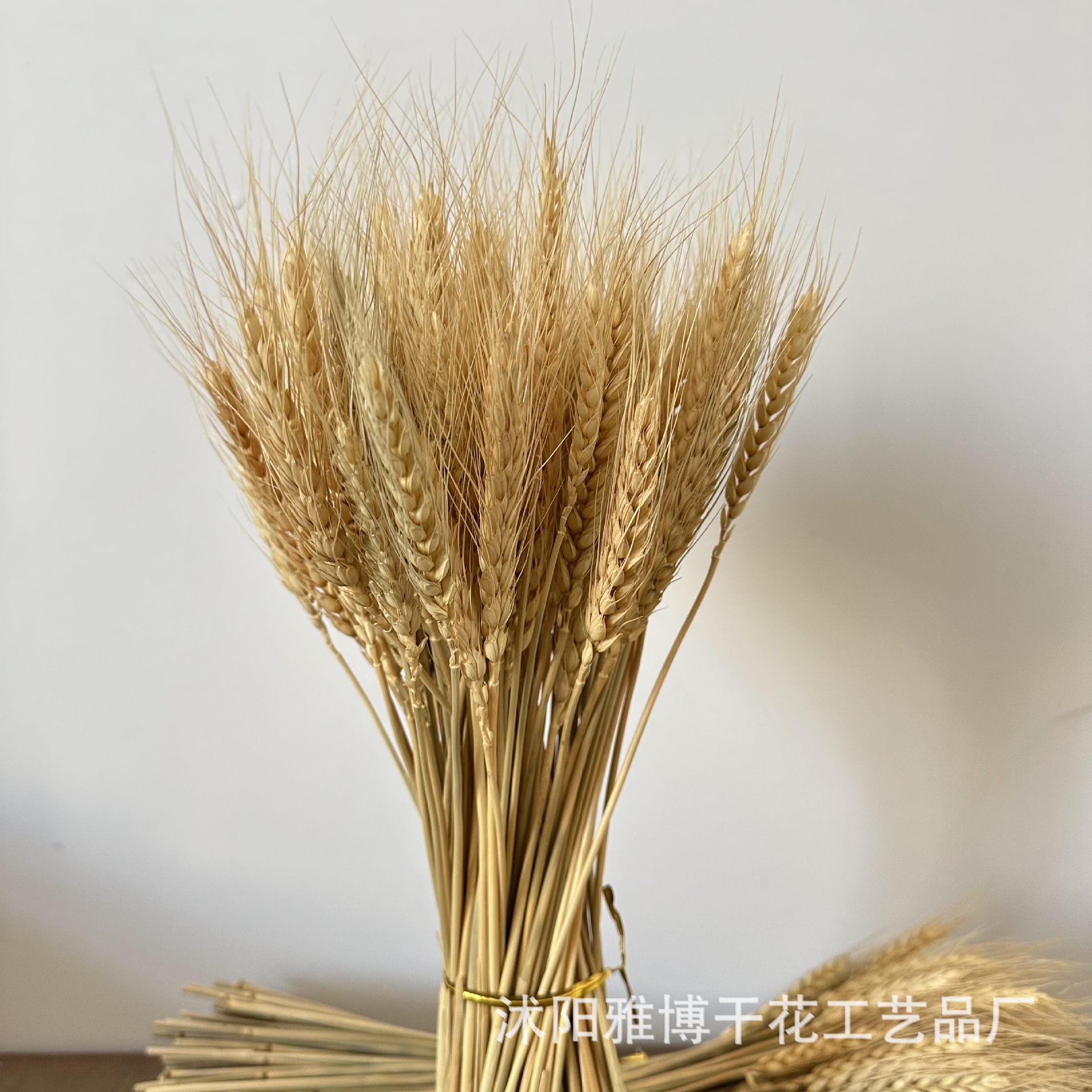 原色大麦禅意麦穗干花大麦花篮原色麦穗拍摄道具批发亚马逊