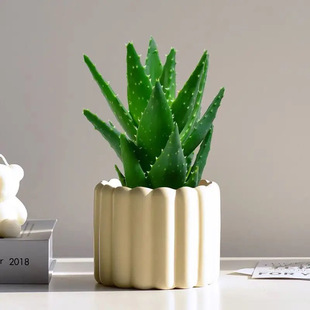 ��ҹ���J�C�����҃�����[�ź��B���ͺ��Gֲ�������T�辰�W�t����