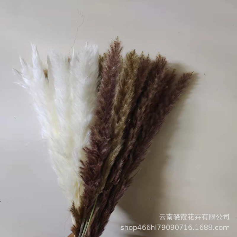 1187c7f5c4f8a2cf02c59ac1b8a840