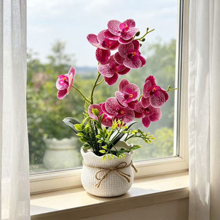 �p��10������ٻ��辰�¿�����m�����������ָл�Ƭ�҃��b�