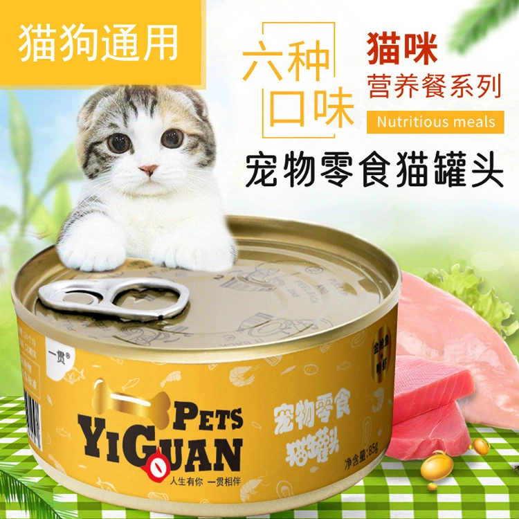 Консервы домашнее животное кошка закуски котенка в кошку влажный корм основной консервированный тунец белое мясо консервы кошка оптом