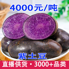 �������������ڽ������r��ɫ�����R�������������С�����߲�