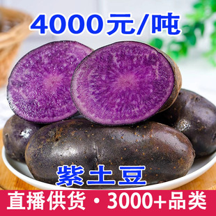 �������������ڽ������r��ɫ�����R�������������С�����߲�