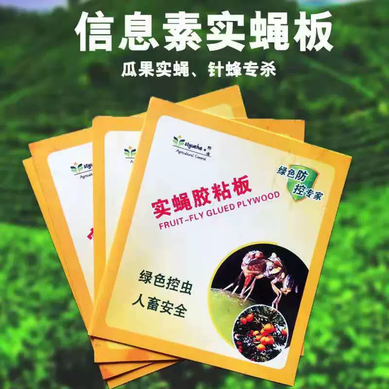 粘虫板大棚专用果蝇蓟马果园针蜂小飞虫黑飞诱虫板诱捕器果蝇专用