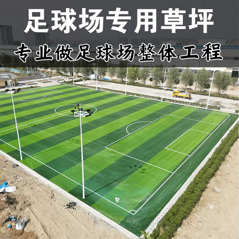 厂家供应足球场人造草坪门球场学校人工塑料地毯草户外假草皮批发