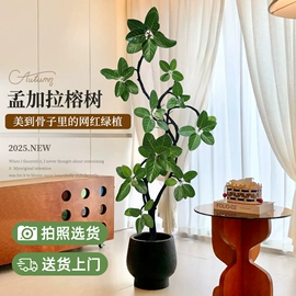 儿童读物;社科生活;四件套