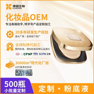 定制混油皮粉底液柔焦毛孔持妆天然矿泥哑光高级感气垫贴牌OEM