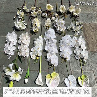 �߷º����m�S�Ұ�ɫ�����m�����������R��ɏ�ٺϻ�cܛ�b�ٻ����l