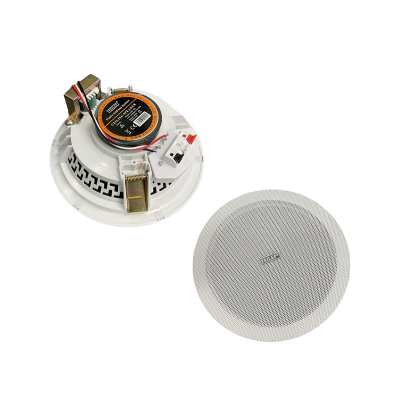 Narrow-Edge Ceiling-Mounted Speaker, Public Address Ceiling Speaker, Background Music Full-Range Speaker