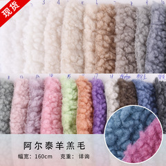 源頭廠家供應阿爾泰羊羔絨毛顆粒絨  服裝箱包玩具面料可批發