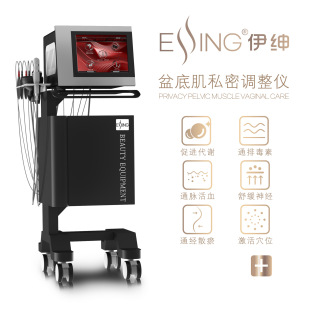 Yishen Postpartum Repair Instrument Pelvic Floor Muscle Rectus Abdominis Pelvic Correction Private Firming Postpartum Center Maternity Health Equipment