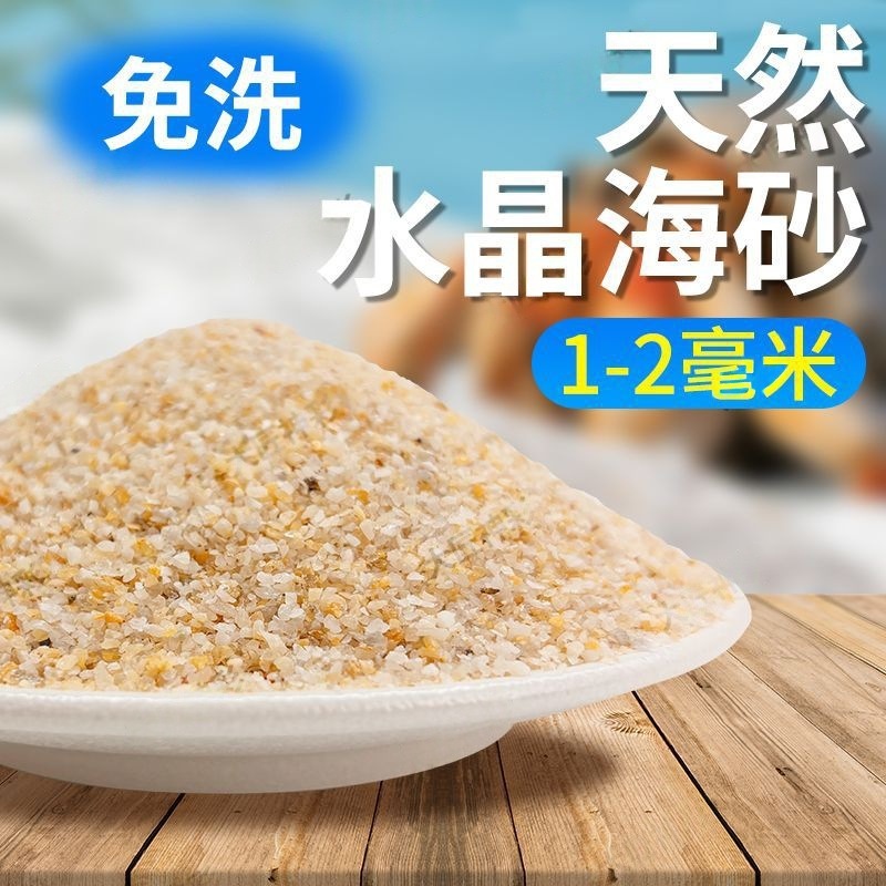 海砂寄居蟹専用砂水草カニ底砂石亀敷底純天然流砂水槽底砂|undefined