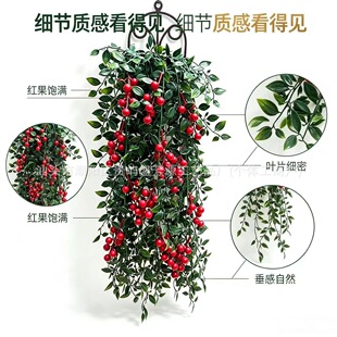 �羳���R�d����ڒ������_�ȼ������t���bٻ��ڒ컨�ٗl�b�
