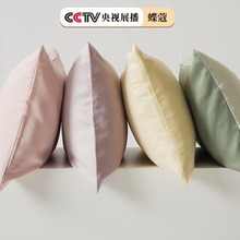 100֧�W�����m����z�������Rِ��һ���b���s��ɫ�pƴ�������^��