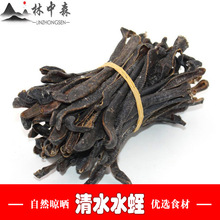 水蛭现货批发中药材厂家中药材现货批发吊干水蛭清水养殖水蛭