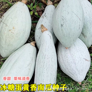 ���ǵ��S���ϹϷN�Ӹ��������F���ϸ������ϹϷN�Ӗ|����z��