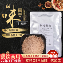 定制甘梅粉袋装撒料酸梅粉甘梅粉薯条甘梅地瓜条调味料100g