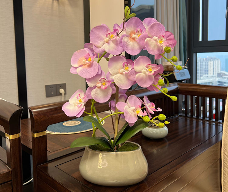 98c37483-40c6-43ef-a8fd-25a374e1d9a7.jpe