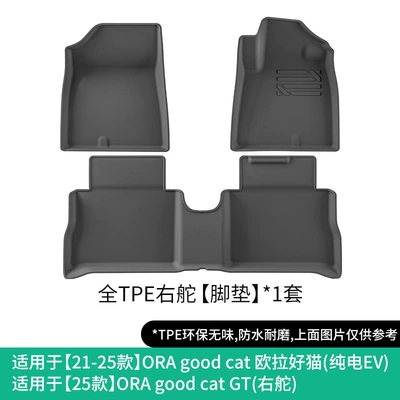 Modelə uyğun ayaqaltı the Ora Good Cat Car - 21-25-ora-good-cat-single-layer-floor-mats-pure-electric-evright-hand-drive-25-ora-good-cat-gt