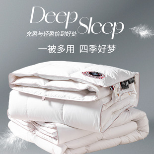 High-end goose down quilt 95% down quilt genuine goods 98% hanging white goose down quilt winter thickened mother and child quilt core factory batch
