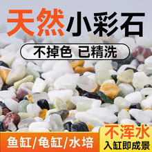 鱼缸底砂造景雨林沙南美棕沙溪流乌龟花盆栽铺底黑金木纹鸡血玉石
