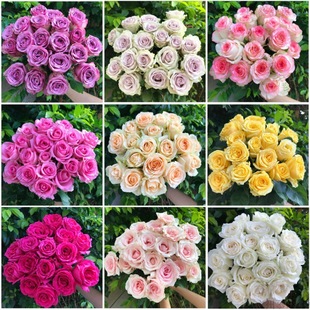 Flowers Fresh Base Bouquet Yunnan Rose Gift Straight Hair Perfume Lily Straight Batch Free Shipping Real Flowers Sunflower Cut Flowers