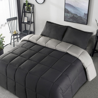 2025新款跨境代发3件套带床罩四季可翻转羽绒被/羽绒被跨境