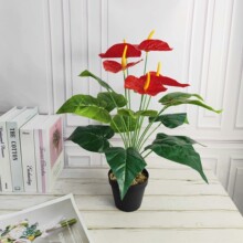 �羳�������t���ָоGֲ�ٻ��Ҿ��b�ֲ��@���쾰���������B