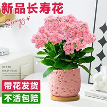 �߶��L�ۻ������ذ��ش󻨻��玧����һ���ļ����_���L�ۻ�����