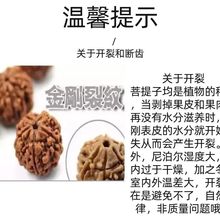 正宗爆肉五星蜂王尼泊尔大金刚菩提毕业文玩手串送礼物男友礼品..