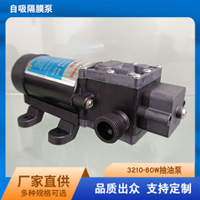 厂家供应小型抽油泵 家用汽车汽油 12V80W抽柴油泵单泵电动隔膜泵