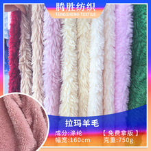 �V���д�F؛���l������ë�w��PV���b���ë�q����