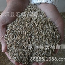 �����������ϱ������ɷNֲι�B����ţ�Z