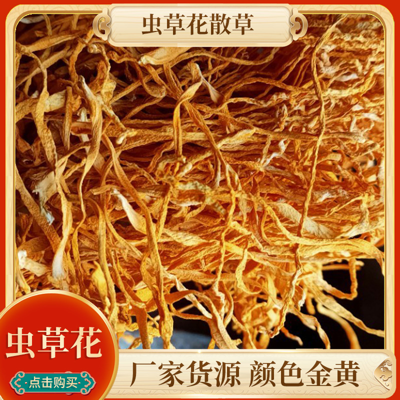 內蒙幹制蟲草花散草實體食補菌菇食材幹貨煲湯花排草簡裝北蟲草子