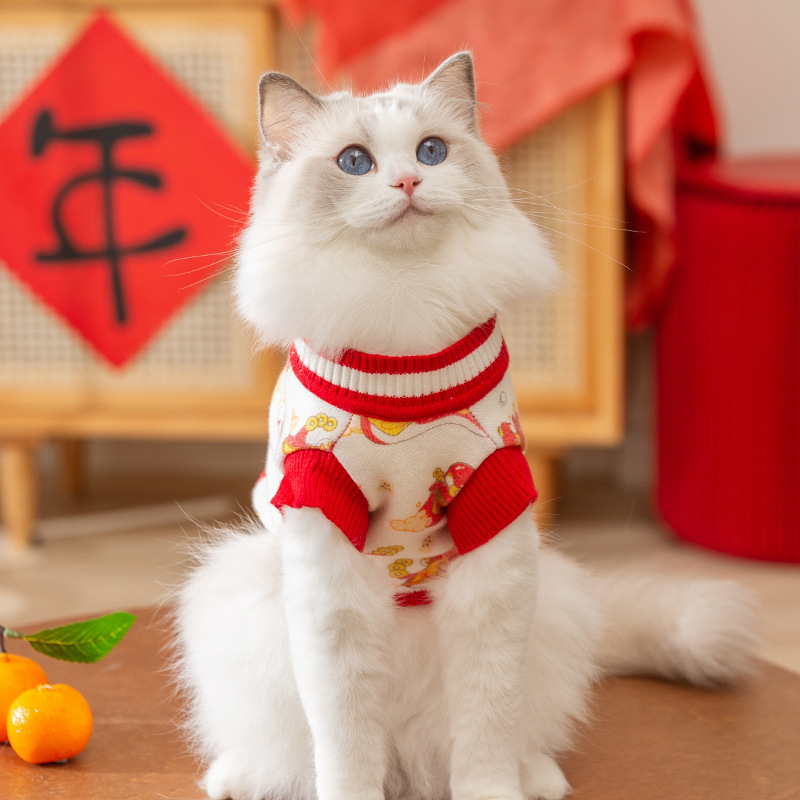 Serpiente de oro anuncio de Año Nuevo suéter festivo gato muñeca de manga larga otoño invierno ropa de gato mascota mayorista image 2