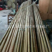 ���^��β������l�����������������S�Gɫ��U����U���������U