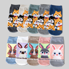 �羳�¿��m��ŮС����ͨ���m����\�ڶ��m����Ůʿ�WԺ�LŮ�m���l