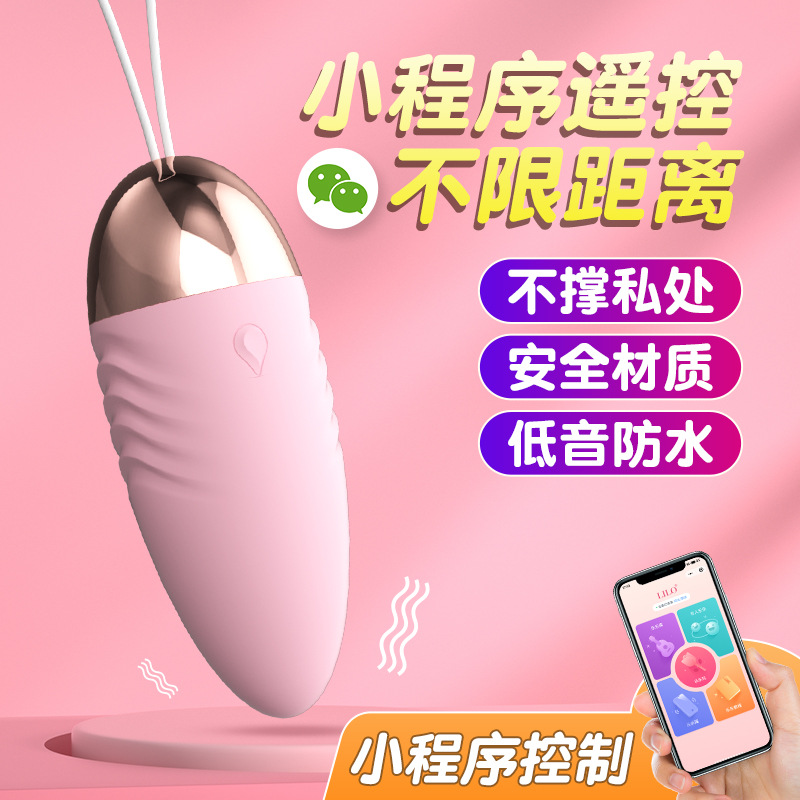 Remote Control Vibrator Female Adult Toy Erotic Novelty Wholesale Private